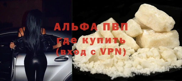 гашик Нефтекумск