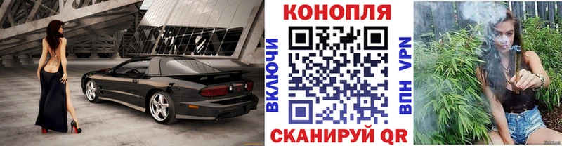 Бошки Шишки ГИДРОПОН Вихоревка